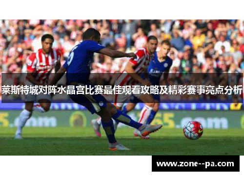 莱斯特城对阵水晶宫比赛最佳观看攻略及精彩赛事亮点分析