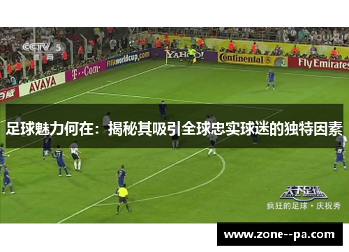 足球魅力何在：揭秘其吸引全球忠实球迷的独特因素