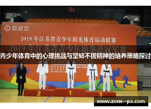 青少年体育中的心理挑战与坚韧不拔精神的培养策略探讨