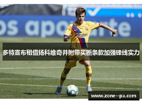 多特宣布租借扬科维奇并附带买断条款加强锋线实力 多特宣布租借扬科维奇并附带买断条款加强锋线实力