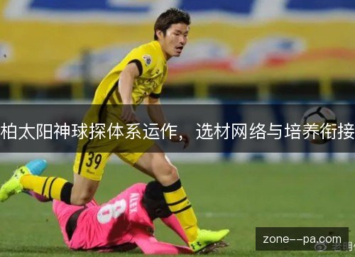 柏太阳神球探体系运作，选材网络与培养衔接